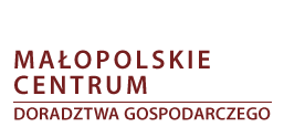 Logo Małopolskie centrum doradztwa gospodarczego